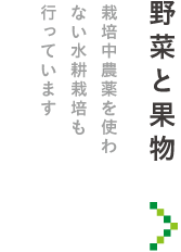 野菜と果物　栽培中農薬を使わない水耕栽培も行っています