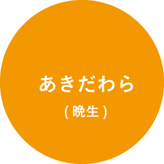 あきだわら(晩生)